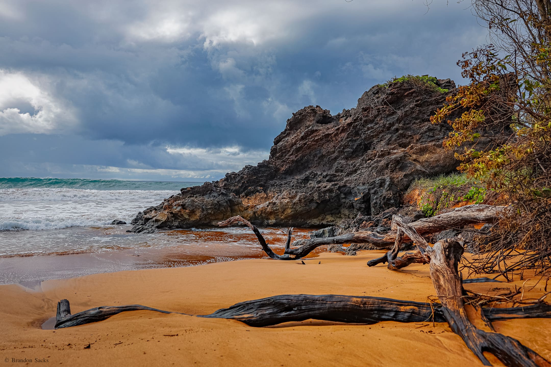 A beach with rocks and trees on the shore